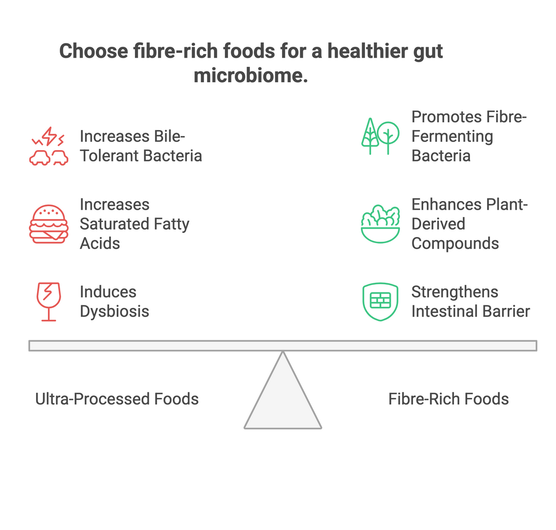 Fueling Immunity: How Diet and the Gut Microbiome Shape the Athlete’s Immune System