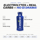 Apple Ginger Hydration, Energy & Electrolytes (600 mg of Sodium) Drink Mix 100 Kcal-Electroride